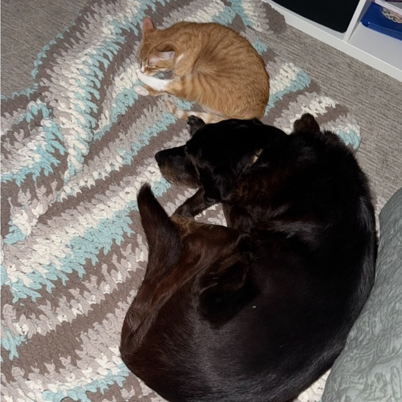 Meet your Posher, Lindsey - Picture 1 of 1